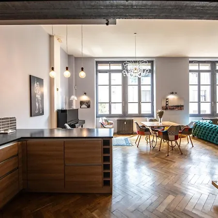Loft Crequi - Bel Spacieux Proche Tete D'or Apartment