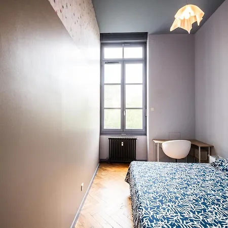 Apartment Loft Crequi - Bel Spacieux Proche Tete D'or *