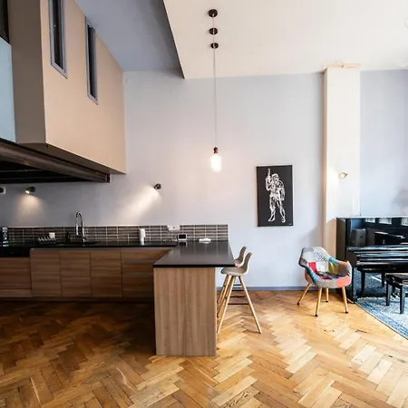 Apartment Loft Crequi - Bel Spacieux Proche Tete D'or *