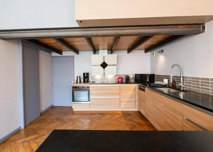 公寓 Loft Crequi - Bel Spacieux Proche Tete D'or 里昂